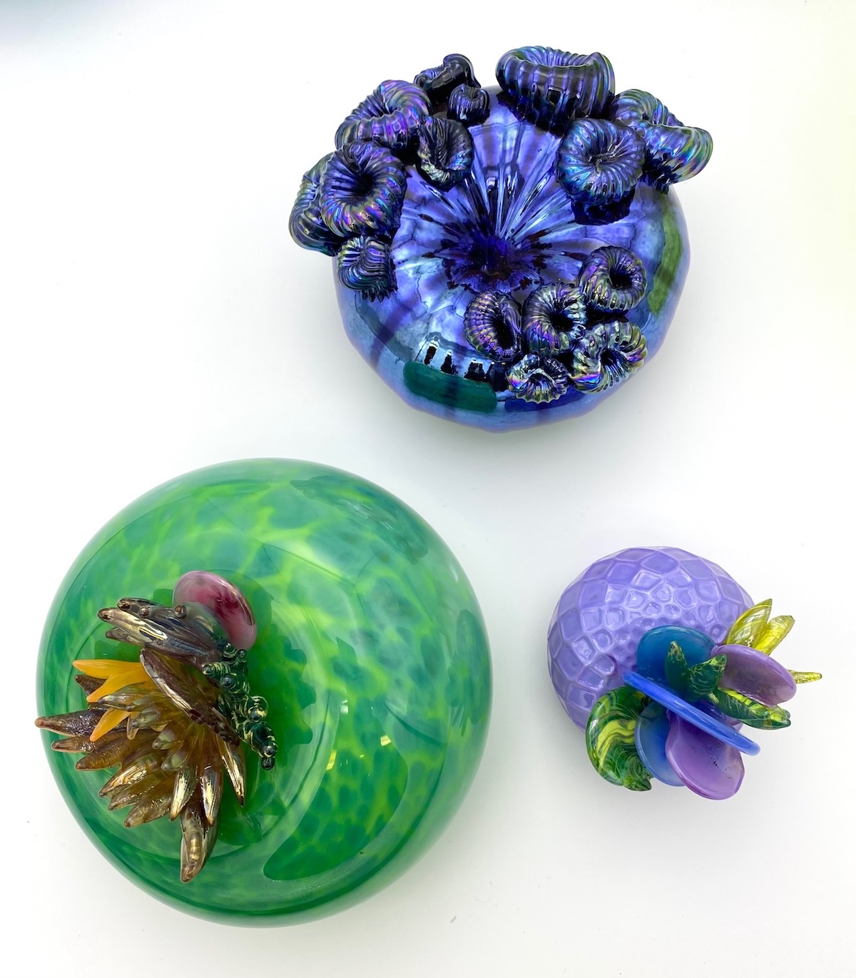 Roots and Reflections