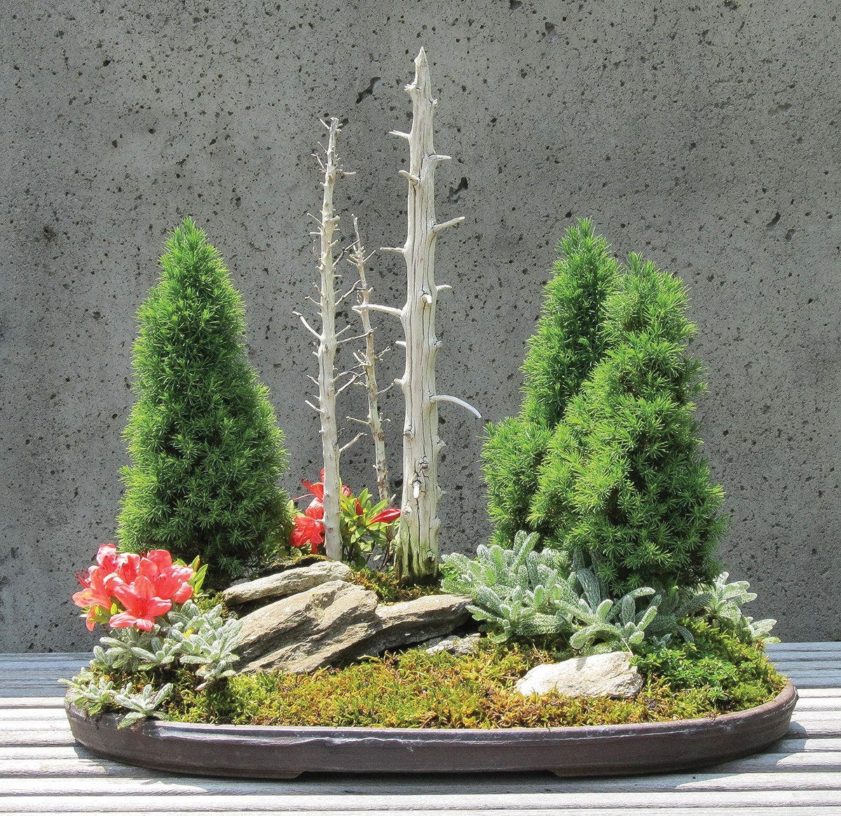 Tiny Trees, Big Milestone