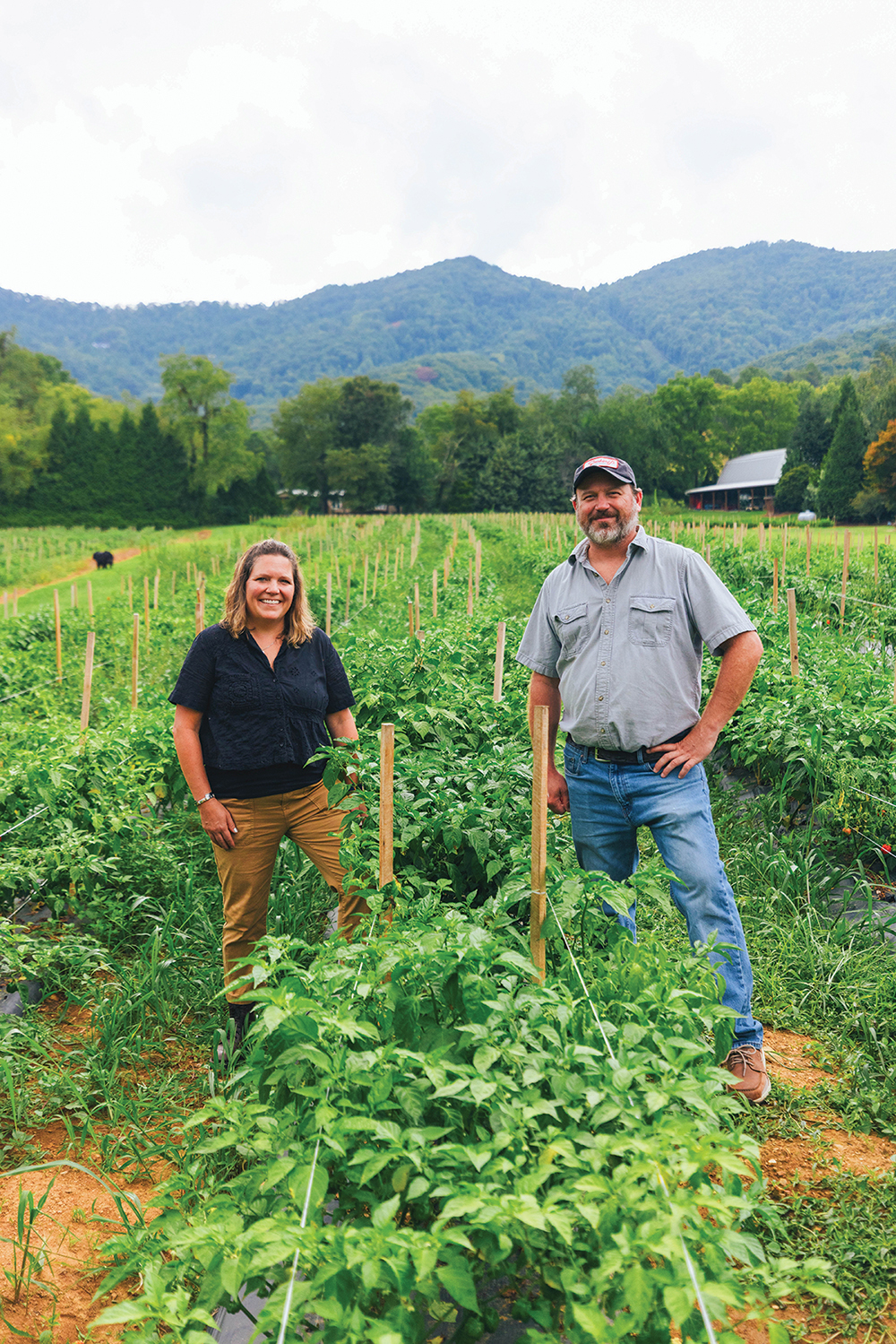 Can’t Beat the Heat