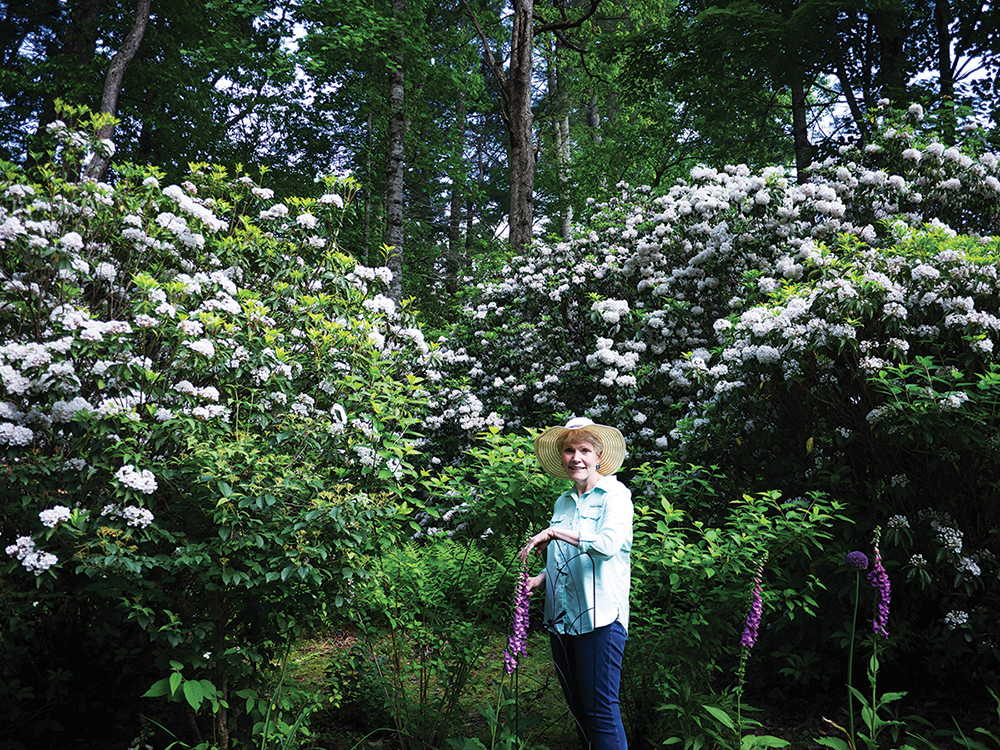 Magical Mountain Laurel